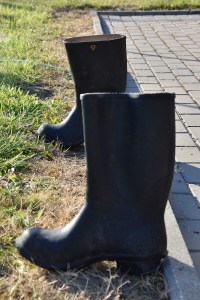 DSC_0292      